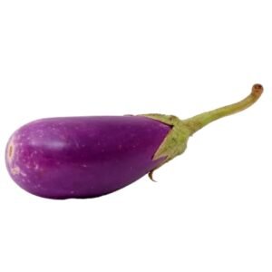 Brinjal Ujala (katirikai)