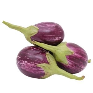 Brinjal Vari