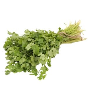 Coriander leaves ( Kothamalli )