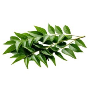 Curry leaves ( Karuveppilai )