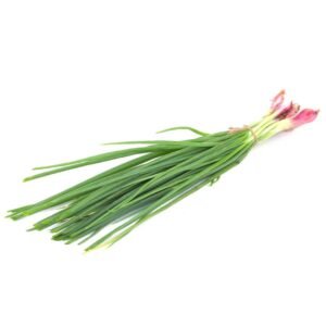Spring Onion (Vengaya Thaal)